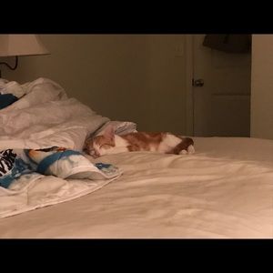 Meet your Posher, Bobbi